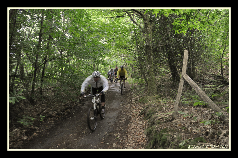 DSC0853_GF