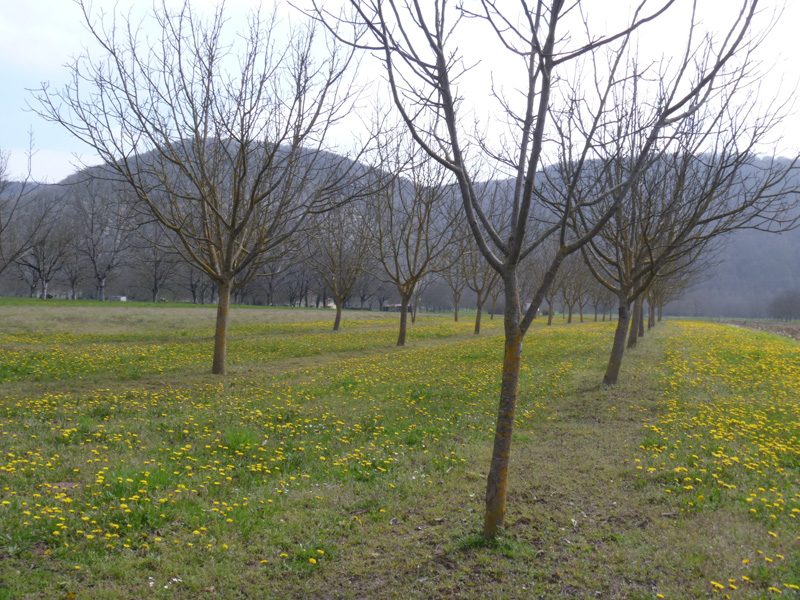 P1090080