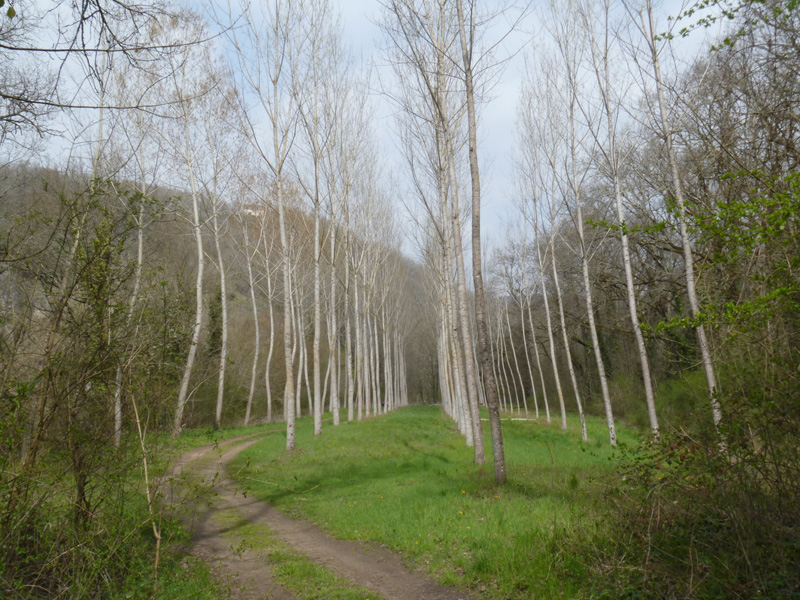 P1090086