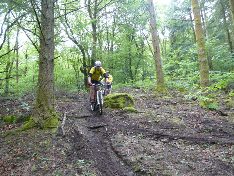 C_Beaumont100