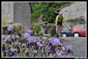 D_Vauzelle003