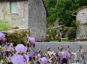D_Vauzelle034