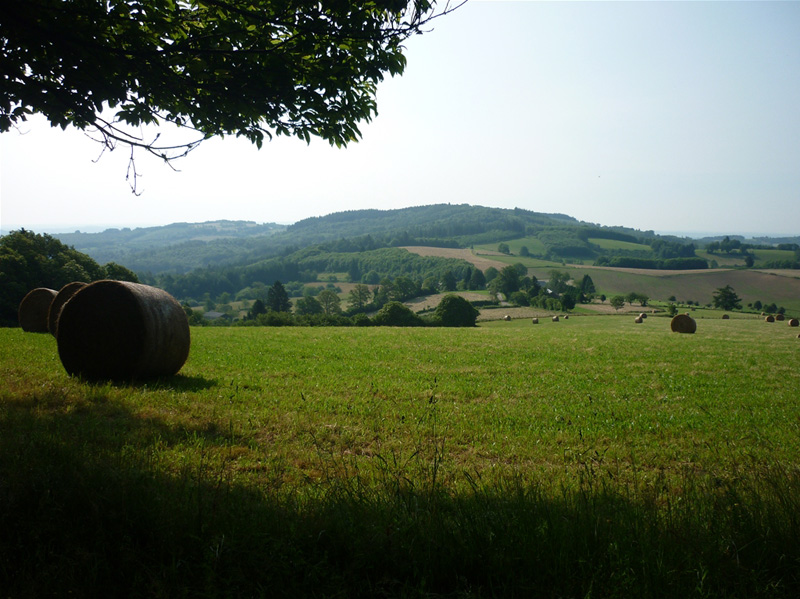 P1080514_GF