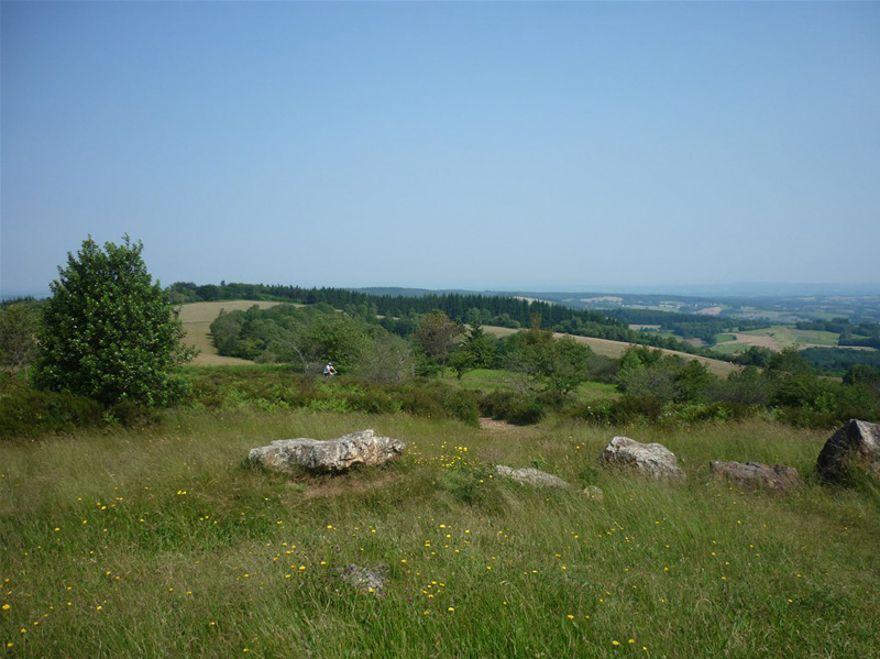 P1080524_GF