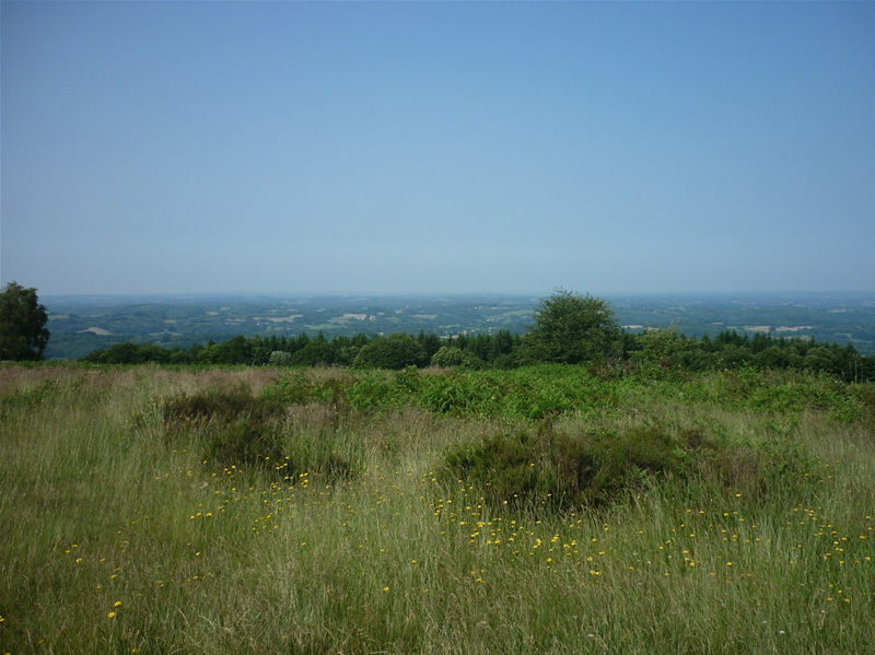 P1080526_GF