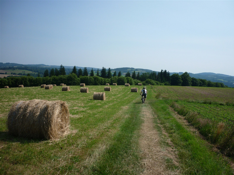 P1080543_GF