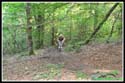 xtreme14_181