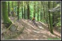 xtreme14_272