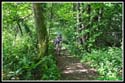 xtreme14_334