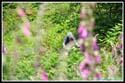 xtreme14_461