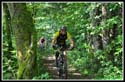 xtreme14_336